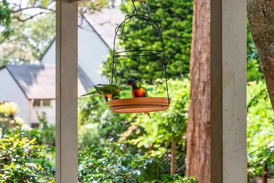The Gamekeepers Spa Cottage In Tamborine Mountain Mount Tamborine