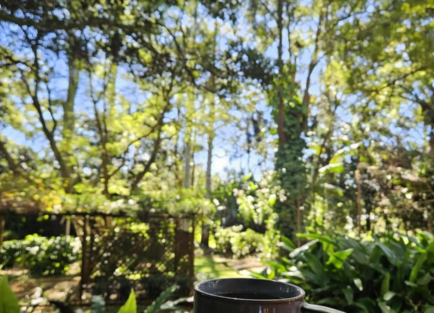 The Gamekeepers Spa Cottage In Tamborine Mountain Αυστραλία