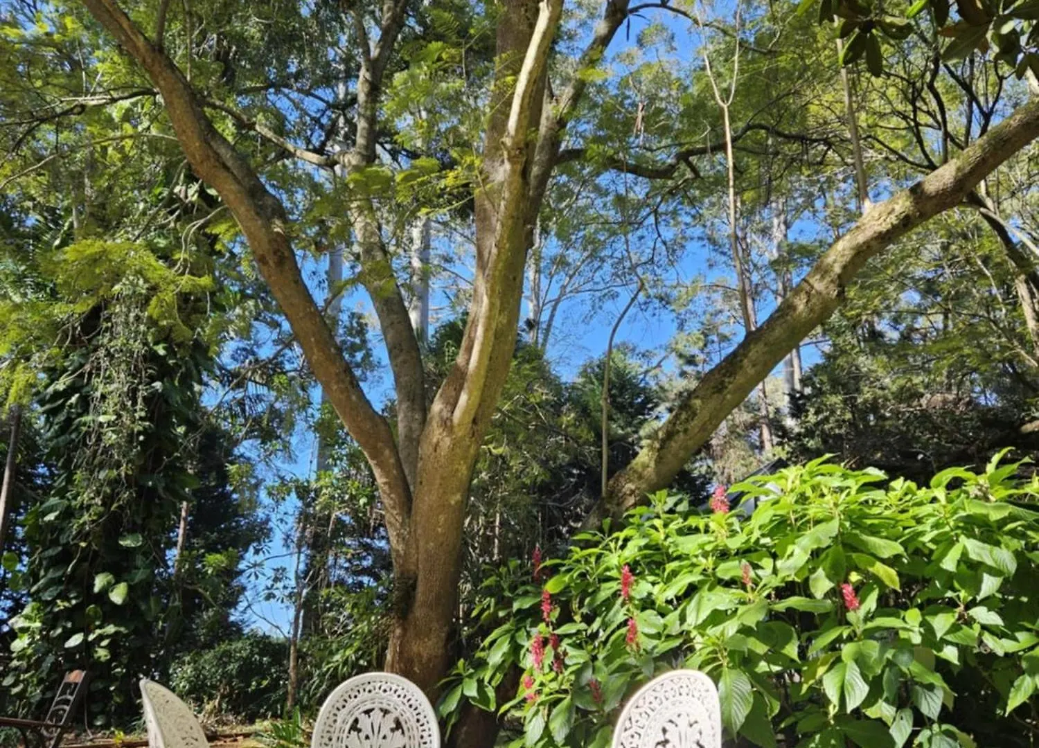 The Gamekeepers Spa Cottage In Tamborine Mountain 0*, Mount Tamborine Αυστραλία